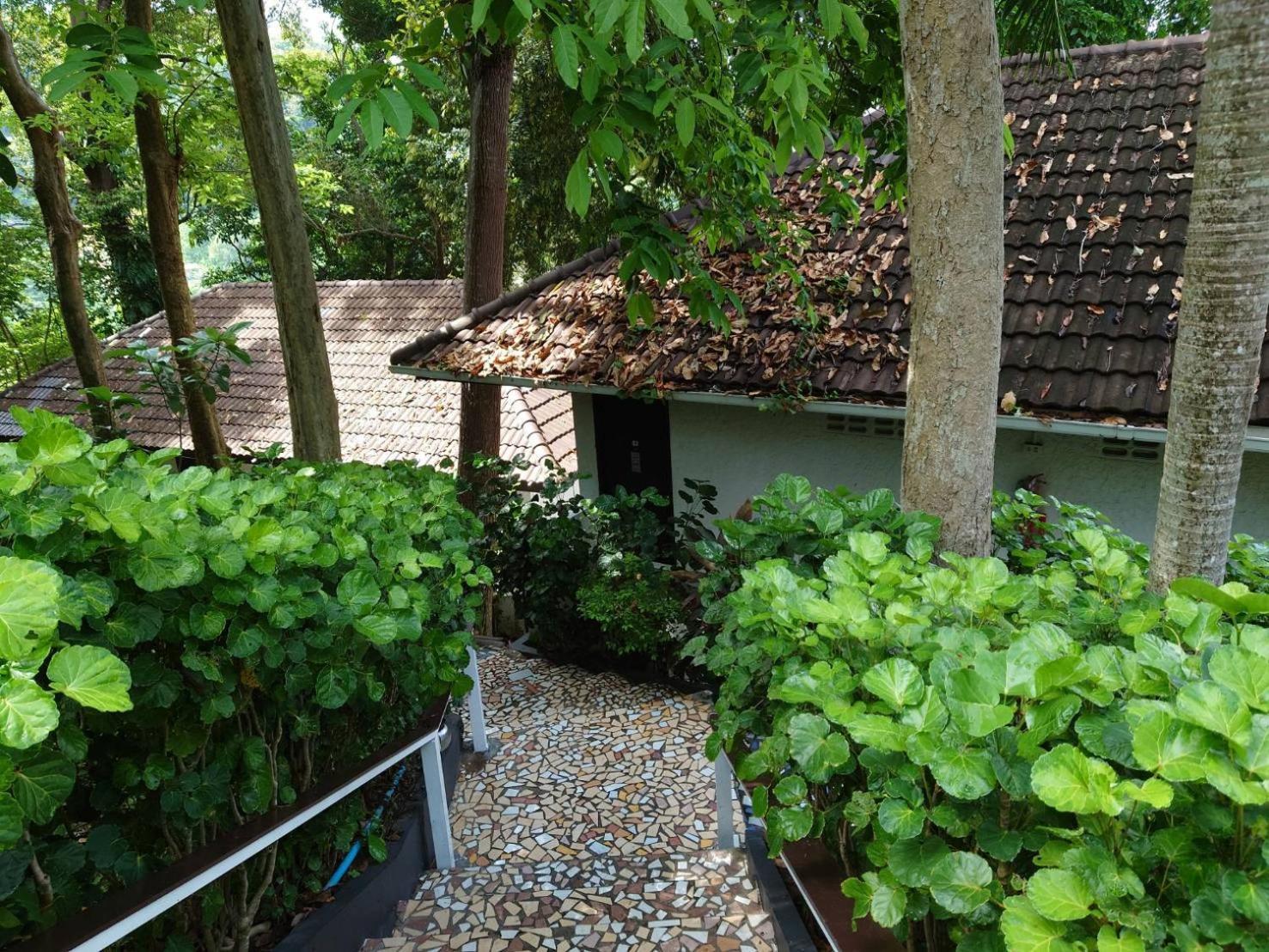On The Hill Karon Resort Esterno foto